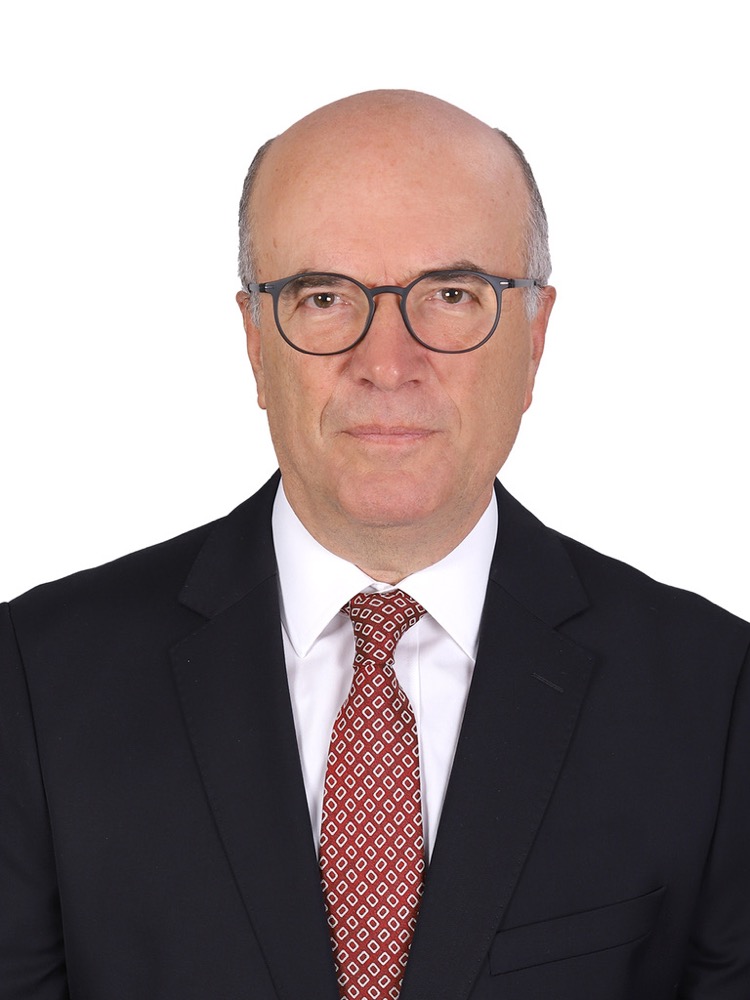 Naci Koru, diplomasi yılları